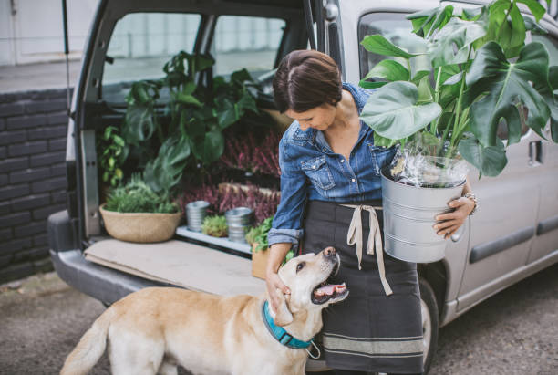 5 Beautiful Indoor Plants that are Safe for Dogs
