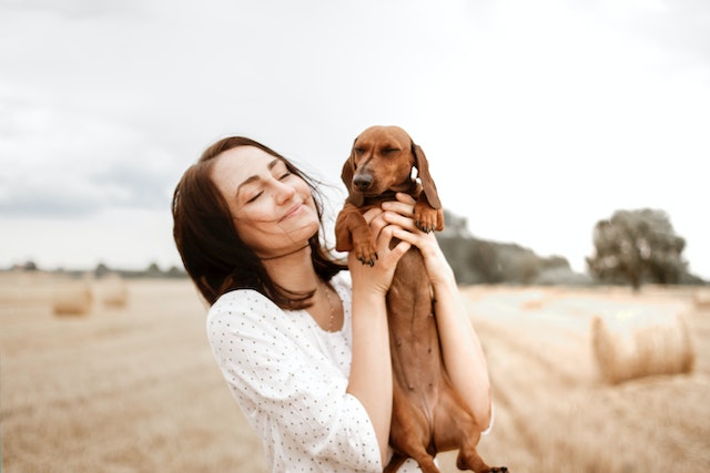 How do you know if your dog feels loved by you