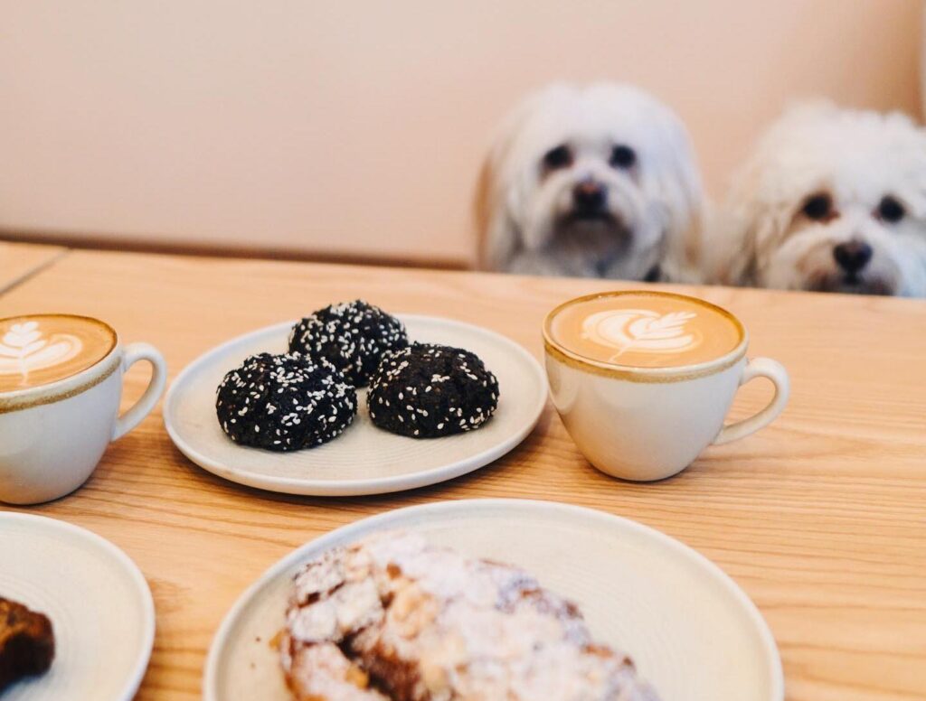 The PAWFECT Cafe Mascot