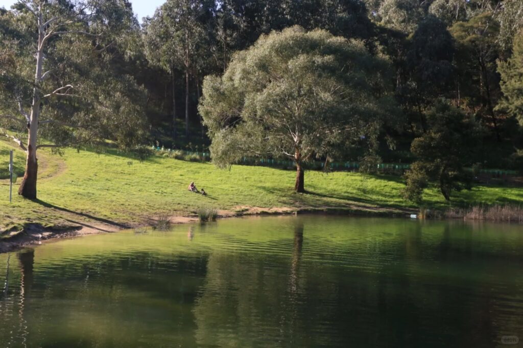 Ferntree Gully Quarry Recreation Reserve