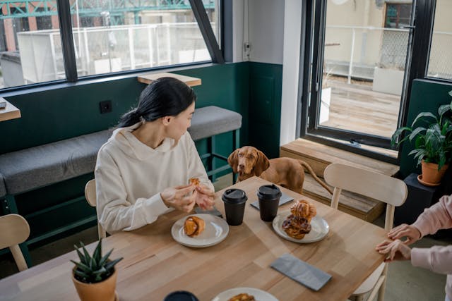 Best Dog-Friendly Cafés in Melbourne in 2024