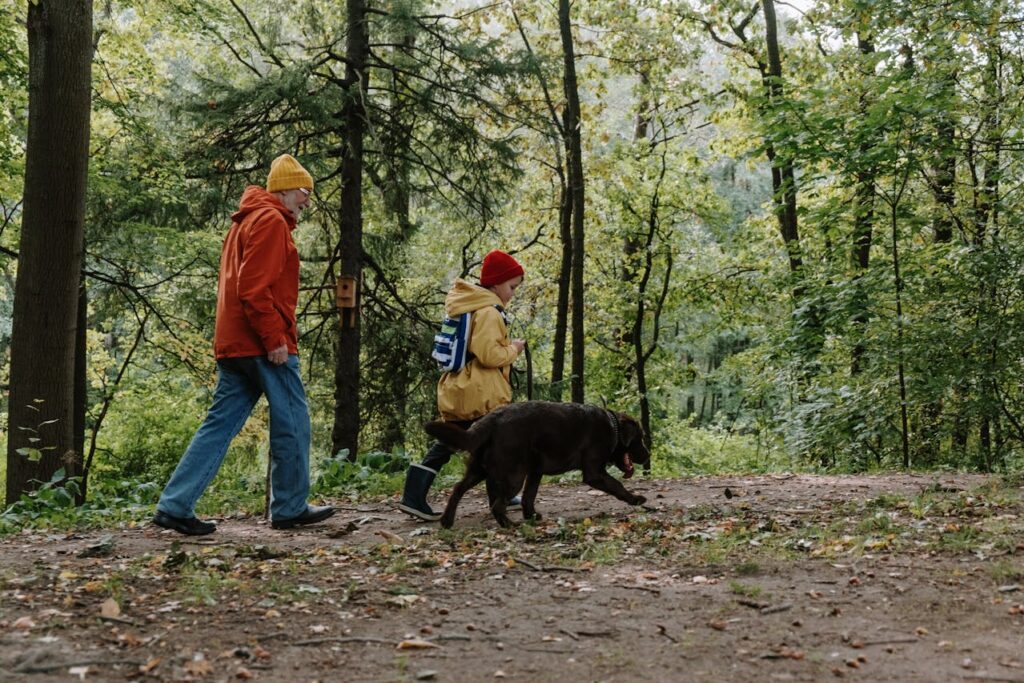 Off-Leash Hiking with Dogs in Canberra