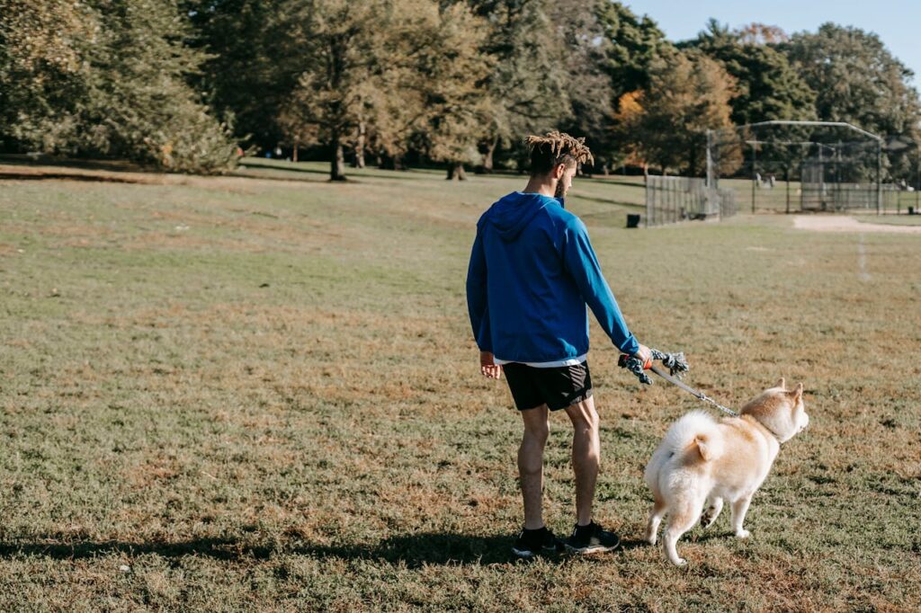 Tips for Walking Your Dog in Australia